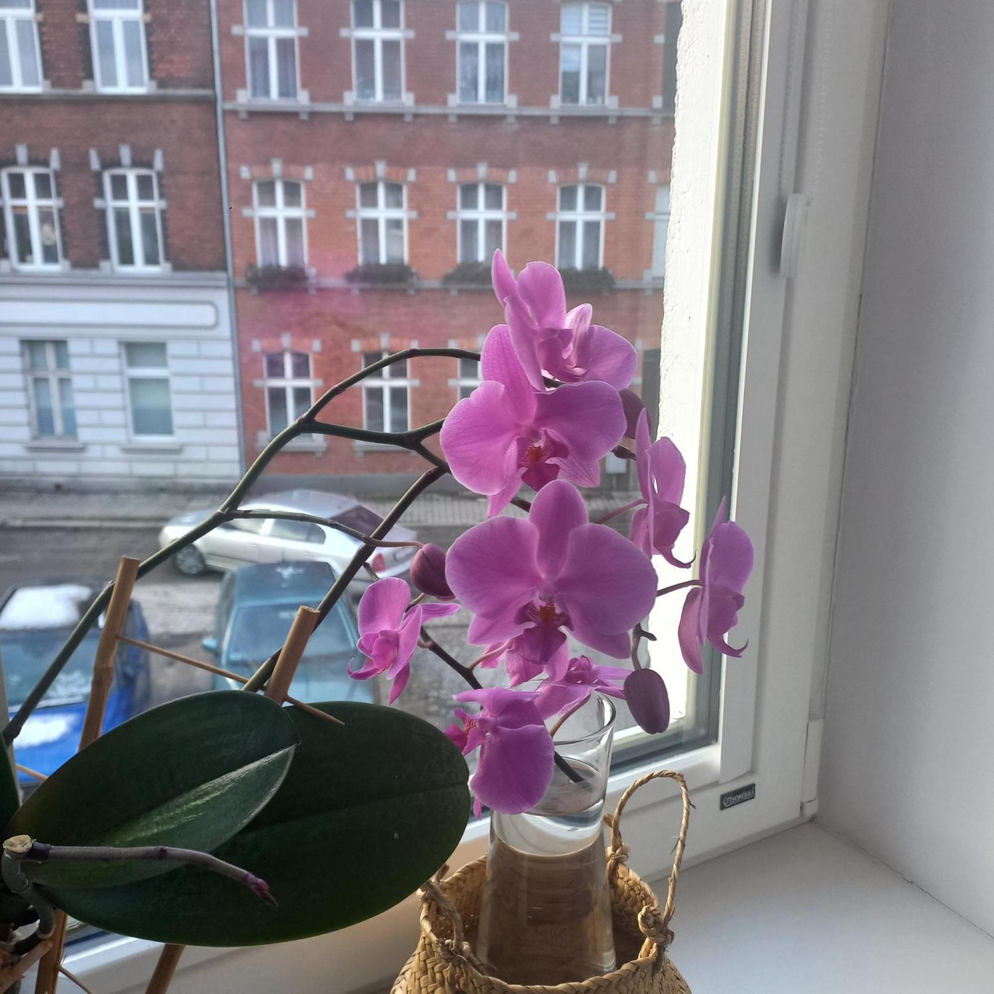 Apartament Prowansalski Z Miejscem Parkingowym Gdansk Bagian luar foto